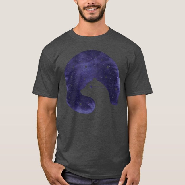 Camiseta Amigo de amor estelar (Anverso)