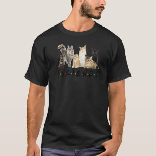 Camiseta Amigos de gatos Furiends gato gatitos lindos gato