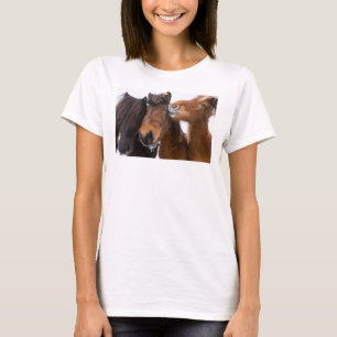 Camiseta Amigos del caballo islandés, Islandia