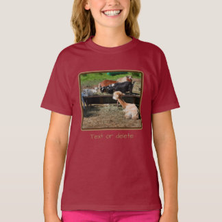 Camiseta Amigos del corral de animales de granja personaliz