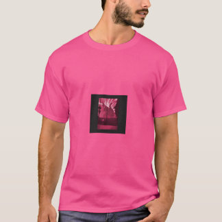 Camiseta amigos kaiju