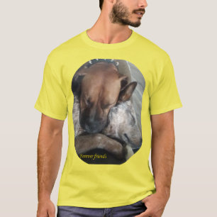 Camiseta Amigos para siempre