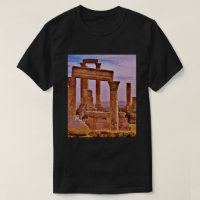 Amman Citadel