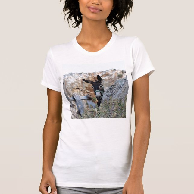 Camiseta ¡Amo burros! (Anverso)