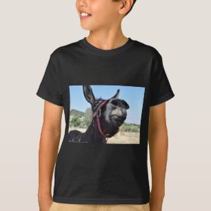 Camiseta ¡Amo burros!