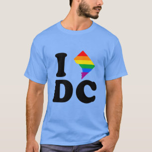CAMISETA AMO DC GAY