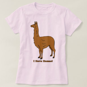 Camiseta ¡Amo Las Llamas!