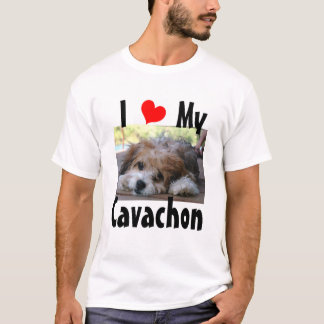 Camiseta Amo mi Cavachon