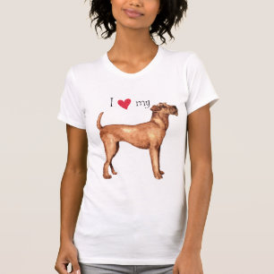 Camiseta Amo mi territorio irlandés
