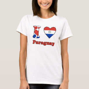 Camiseta Amo Paraguay