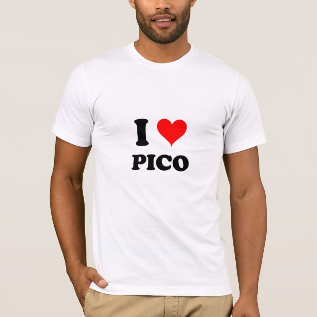 Camiseta Amo Pico Massachusetts (Anverso)