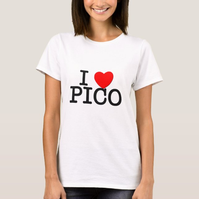 Camiseta Amo Pico Massachusetts (Anverso)