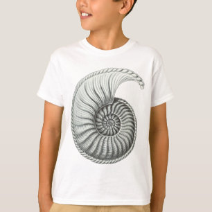 Camiseta Amonita