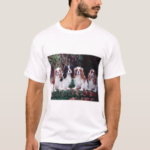 Camiseta amor arrogante