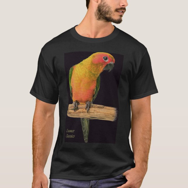 Camiseta amor bird_black/bgrnd (Anverso)