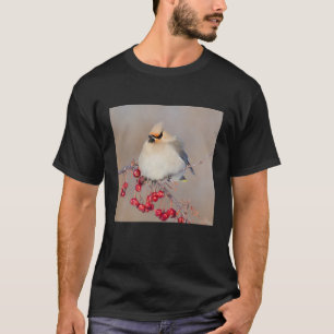 Camiseta Ampelis europeo en invierno, Canadá