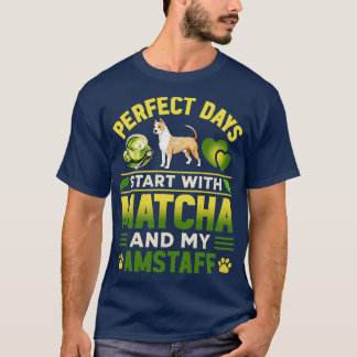 Camiseta AmStaff 1