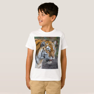 Camiseta Amur tiger