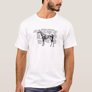 Camiseta anatomía 1 del caballo