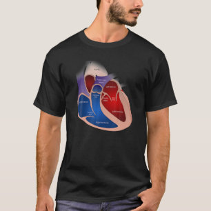 Camiseta Anatomía cardíaca