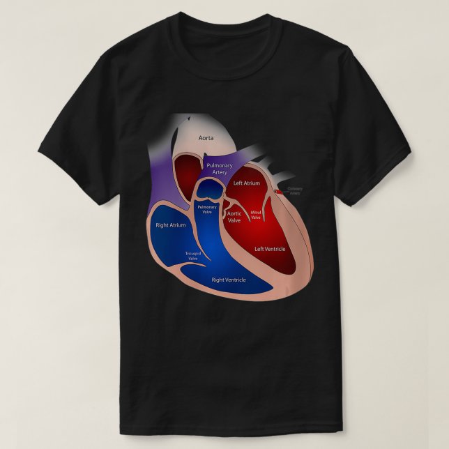 Camiseta Anatomía cardíaca femenina VNeck (Diseño del anverso)