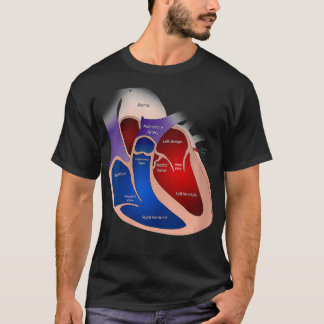 Camiseta Anatomía cardíaca femenina VNeck