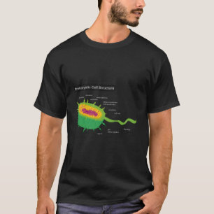 Camiseta Anatomía Celular Bacterias Célula Vegetal
