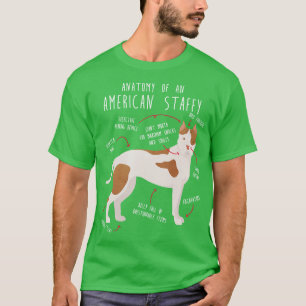 Camiseta Anatomía de American Staffordshire Terrier Amstaff