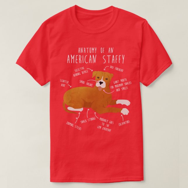 Camiseta Anatomía de American Staffordshire Terrier Amstaff (Diseño del anverso)