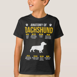 Camiseta Anatomía De Dachshund Perro Lover