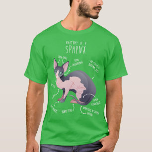 Camiseta Anatomía de gato Sphynx 2