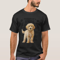 Anatomía De Goldendoodle, Propietario De Doodle