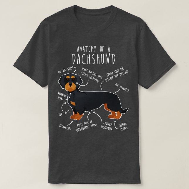 Camiseta Anatomía de perro Dachshund, de cabello negro y co (Diseño del anverso)