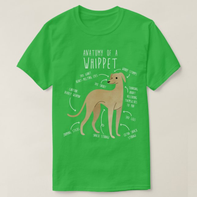 Camiseta Anatomía de perro de Whippet 1 (Diseño del anverso)