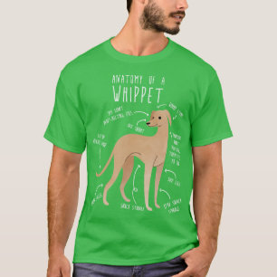 Camiseta Anatomía de perro de Whippet 1