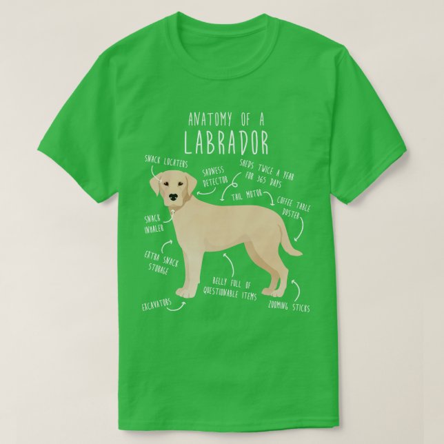 Camiseta Anatomía de perro recuperadora de labrador amarill (Diseño del anverso)