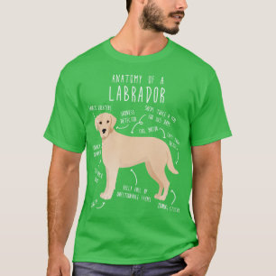 Camiseta Anatomía de perro recuperadora de labrador amarill