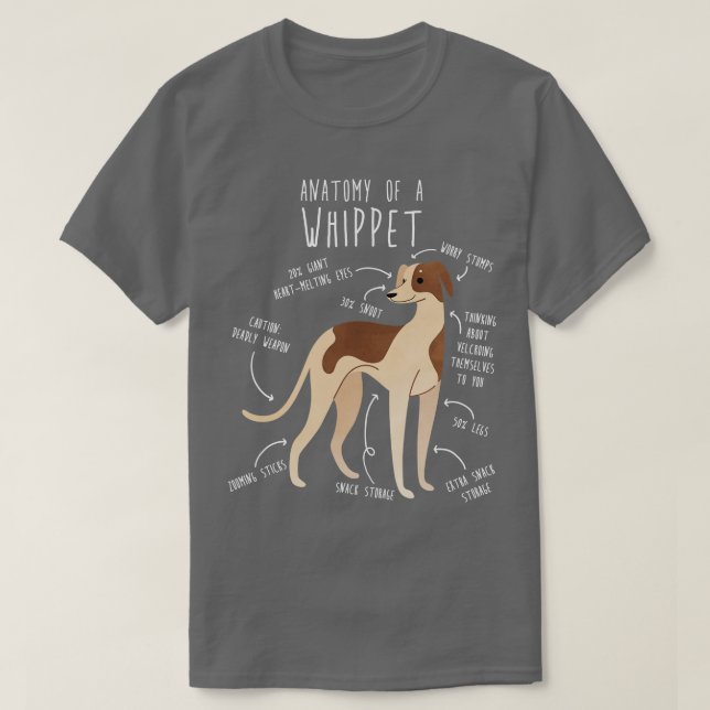 Camiseta Anatomía de perros Whippet (Diseño del anverso)