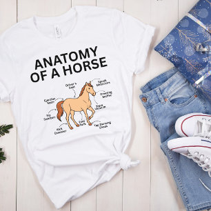 Camiseta Anatomía de un Caballo, Regalos Divertidos para Am