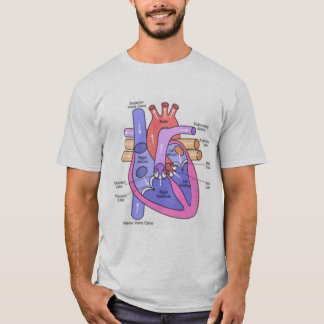 Camiseta Anatomía de un corazón solo