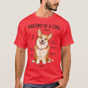 Camiseta Anatomía De Un Corgi, Regalos Para Los Amantes Del