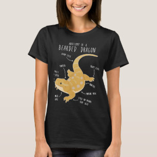 Camiseta Anatomía de un dragón doblado