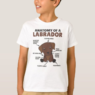 Camiseta Anatomía De Un Labrador Recuperador De Perros Dulc