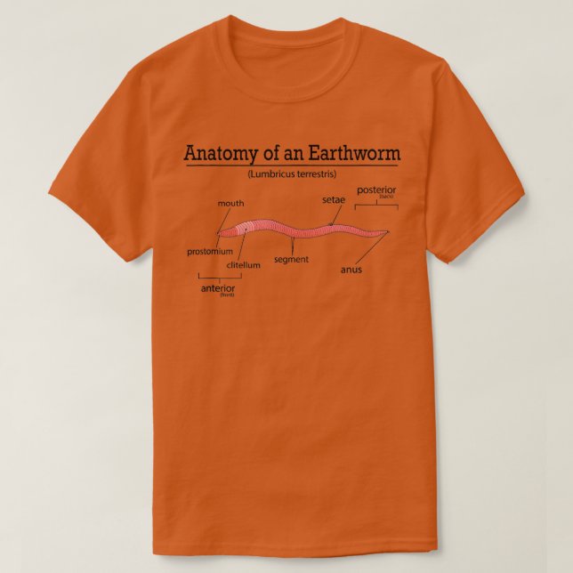 Camiseta Anatomía De Una Gusana De Hierro De Tierra Diverti (Diseño del anverso)