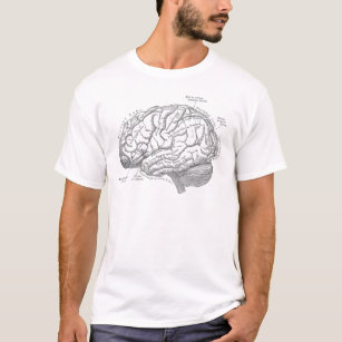 Camiseta Anatomía del cerebro del vintage