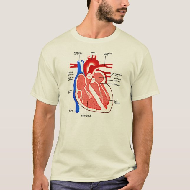 Camiseta Anatomía del Corazón Friki (Anverso)