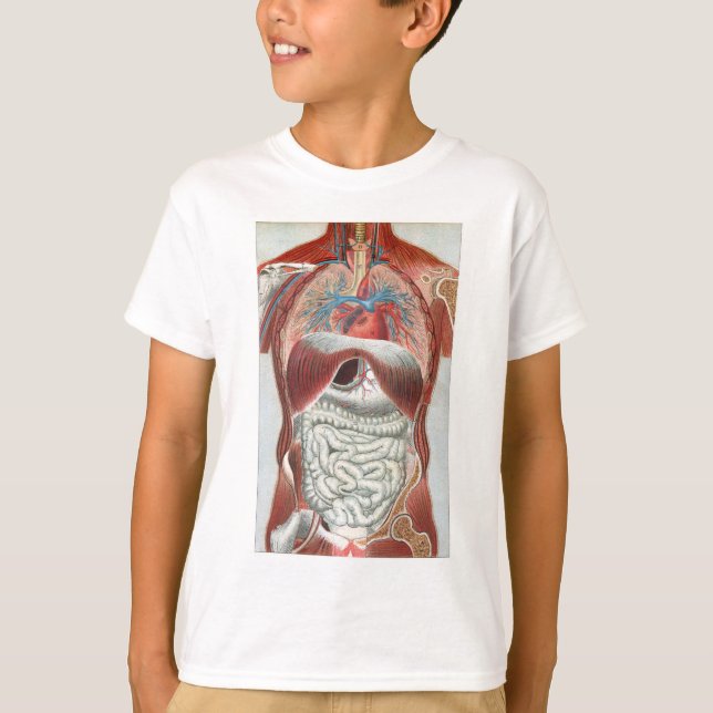 Camiseta Anatomía del cuerpo humano (Anverso)