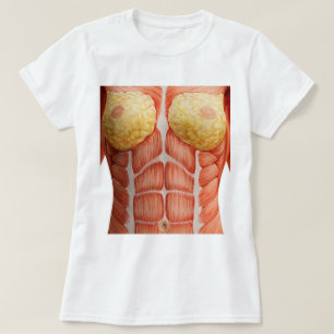 Camiseta Anatomía del cuerpo muscular femenino Fuzzy Expres
