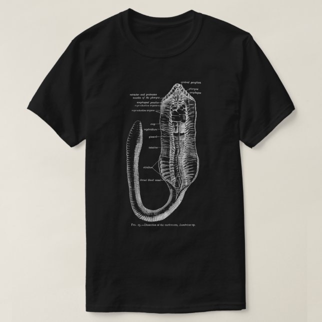 Camiseta Anatomía del gusano de tierra de la entomología ve (Diseño del anverso)