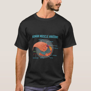 Camiseta Anatomía Del Músculo Humano Para Médico